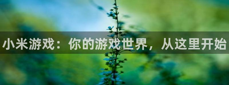蓝冠娱乐平台登录：小米游戏：你的游戏世界，从这里开始