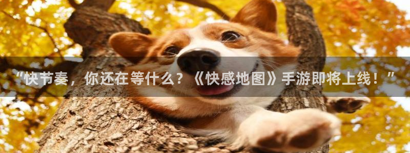 蓝冠娱乐官网：“快节奏，你还在等什么？《快感地图》手游即将上