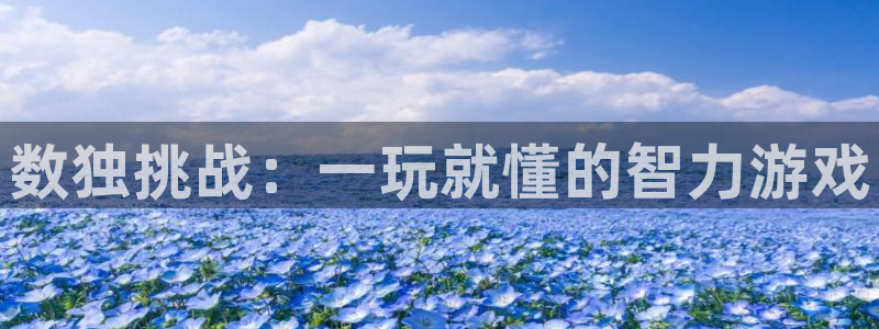 蓝冠娱乐网址官网：数独挑战：一玩就懂的智力游戏