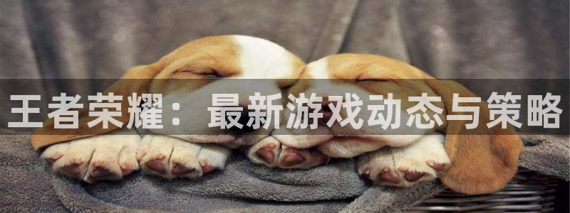 蓝冠娱乐网址注册：王者荣耀：最新游戏动态与策略
