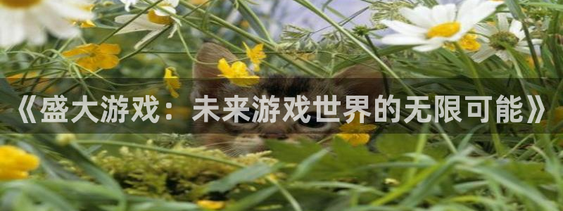 蓝冠娱乐4主管：《盛大游戏：未来游戏世界的无限可能》