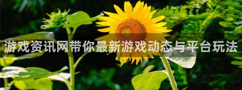 蓝冠娱乐app下载：游戏资讯网带你最新游戏动态与平台玩法