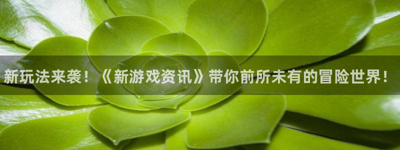 蓝冠娱乐网址官网：新玩法来袭！《新游戏资讯》带你前所未有的冒