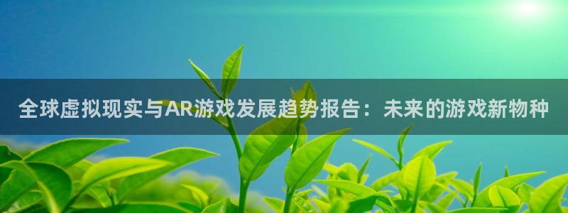 蓝冠娱乐登录：全球虚拟现实与AR游戏发展趋势报告：未来的游戏
