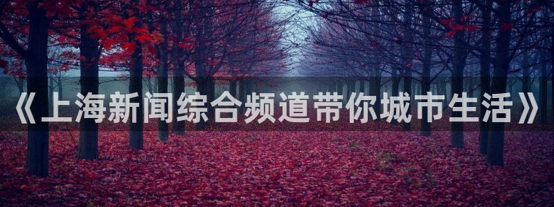 劲爆体育高清直播回看：《上海新闻综合频道带你城市生活》