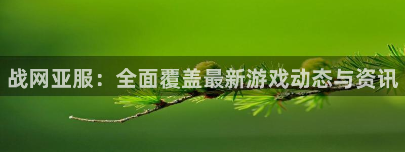 蓝冠在线测速官网：战网亚服：全面覆盖最新游戏动态与资讯