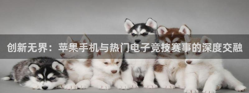 蓝冠娱乐平台注册开户：创新无界：苹果手机与热门电子竞技赛事的