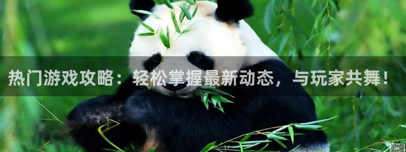 蓝冠娱乐的意思：热门游戏攻略：轻松掌握最新动态，与玩家共舞！