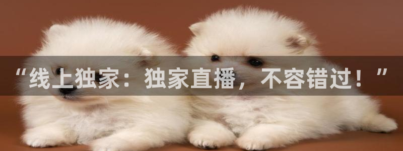 劲爆体育nba直播：“线上独家：独家直播，不容错过！”