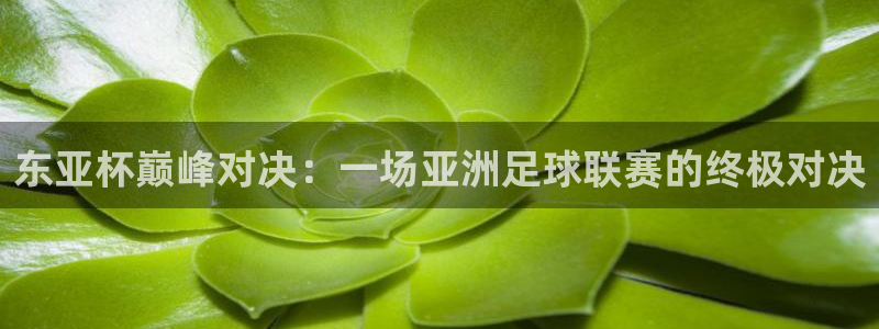 劲爆体育在线直播nba高清观看：东亚杯巅峰对决：一场亚洲足球联赛的终极对决