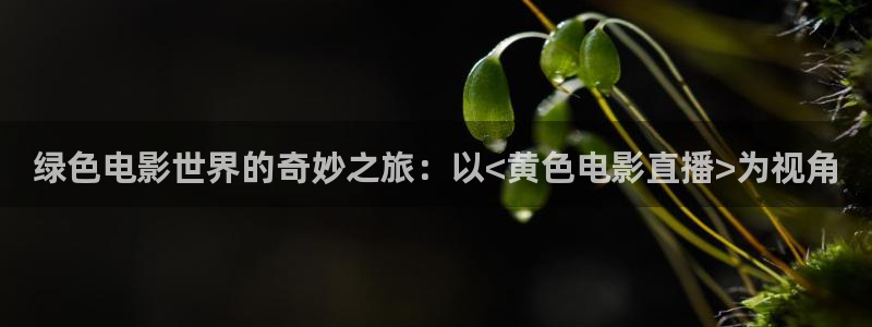 劲爆体育高清直播：绿色电影世界的奇妙之旅：以<黄色电影直播>为视角