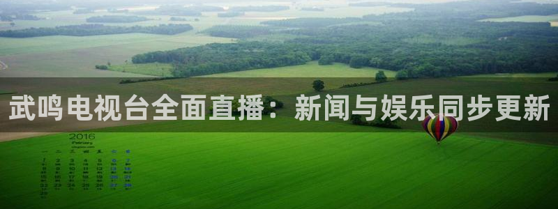劲爆体育nba在线直播观看高清：武鸣电视台全面直播：新闻与娱乐同步更新