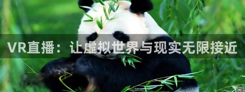 劲爆体育台直播：VR直播：让虚拟世界与现实无限接近