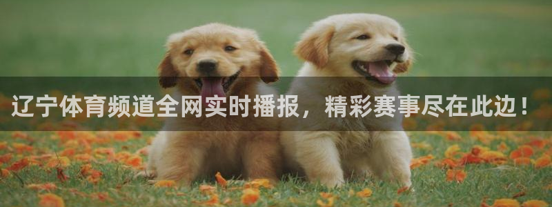 劲爆体育 直播：辽宁体育频道全网实时播报，精彩赛事尽在此边！