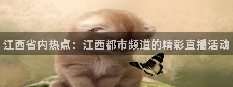 nba在线高清 劲爆体育：江西省内热点：江西都市频道的精彩直播活动